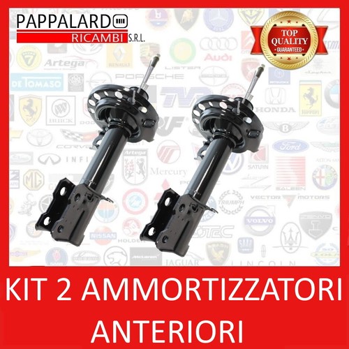 Coppia ammortizzatori - 2,